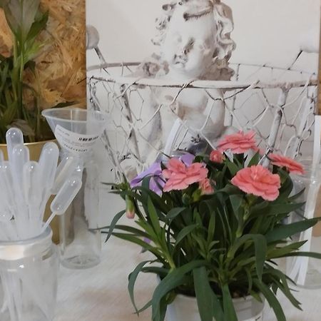 Le Laboratoire Shabby Chic De La Parfumerie Du Manoir Chavagne Εξωτερικό φωτογραφία