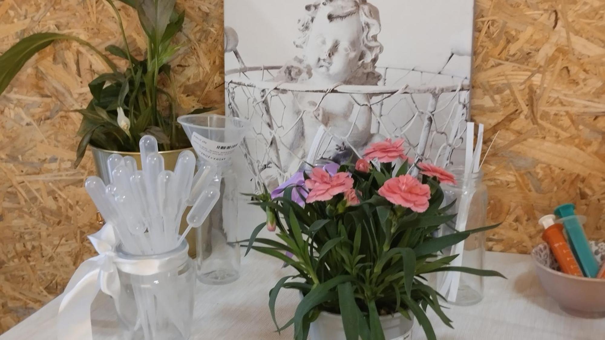 Le Laboratoire Shabby Chic De La Parfumerie Du Manoir Chavagne Εξωτερικό φωτογραφία